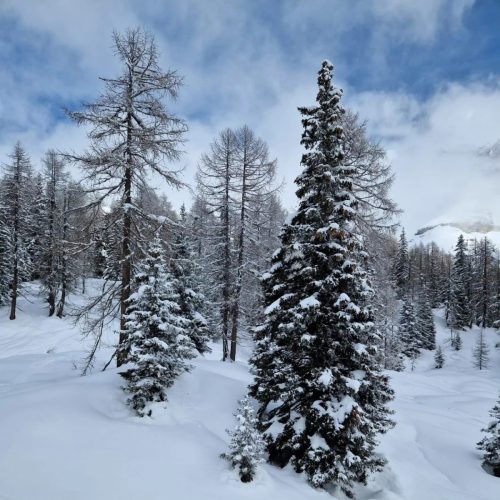 431721783 918850473576130 8859572857077889140 n