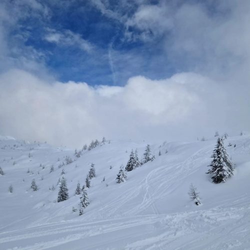 431741084 918850483576129 1233063478935156742 n