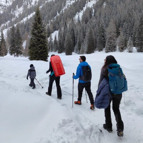 431743230 918843523576825 4799432804254381963 n