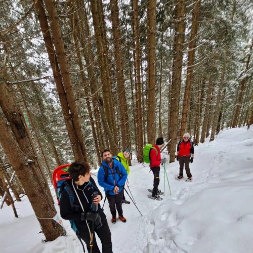 431748272 918843503576827 224576140925169951 n