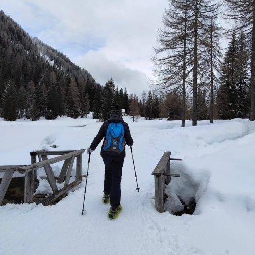 432270583 918843530243491 1290658247334133193 n