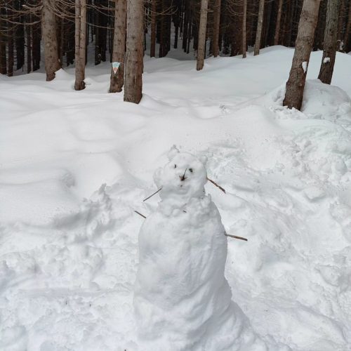 432302013 918962650231579 3134739446859198715 n