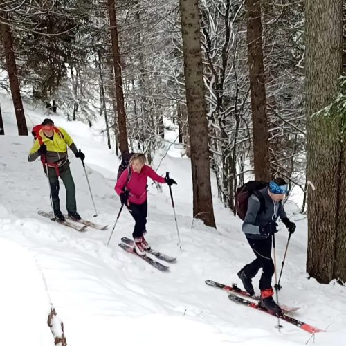 432308471 918928796901631 6646685339963833125 n