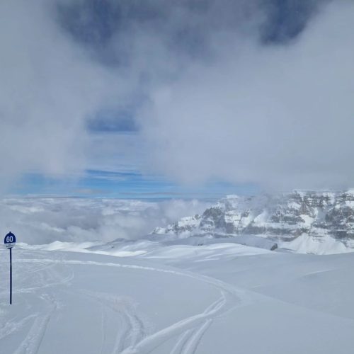 432336347 918850480242796 7047393269482411215 n