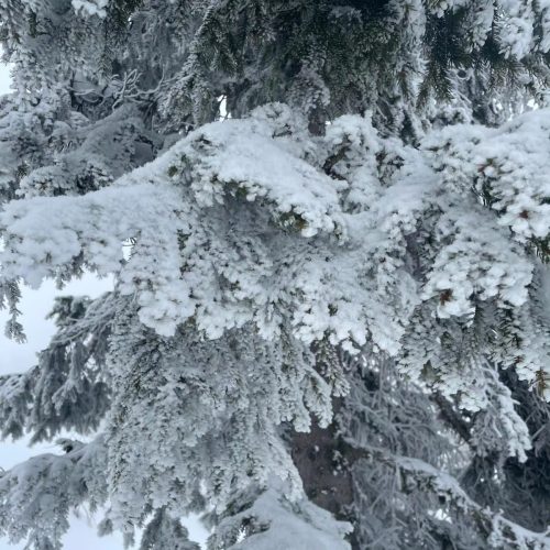 432369517 918928810234963 5286485608575924741 n