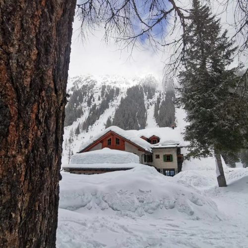 432393450 918843516910159 3324755870255046139 n