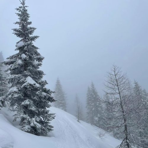 432398116 918928820234962 2012023138312110382 n