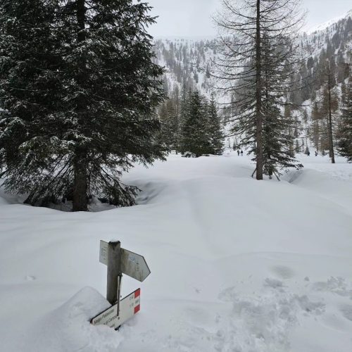 432415272 918843510243493 1448116228150483275 n