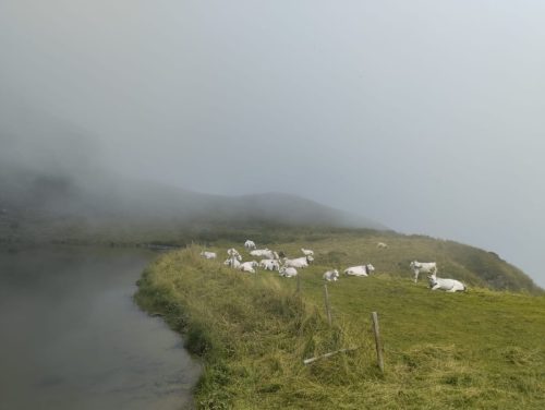 IMG-20240811-WA0028
