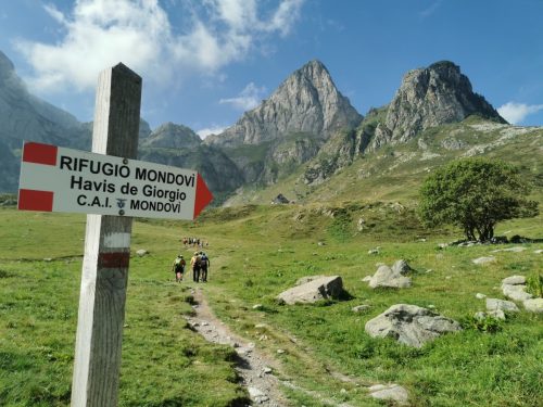 IMG-20240811-WA0054