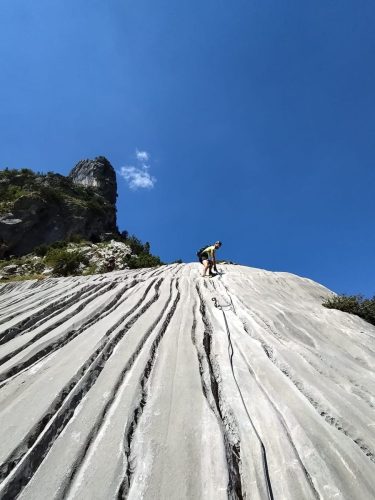 IMG-20240812-WA0045