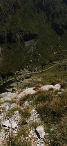 IMG-20240812-WA0083