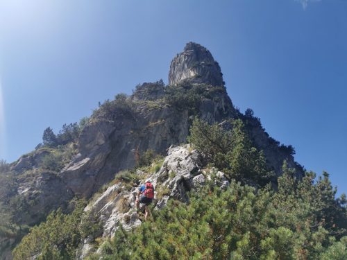 IMG-20240812-WA0133