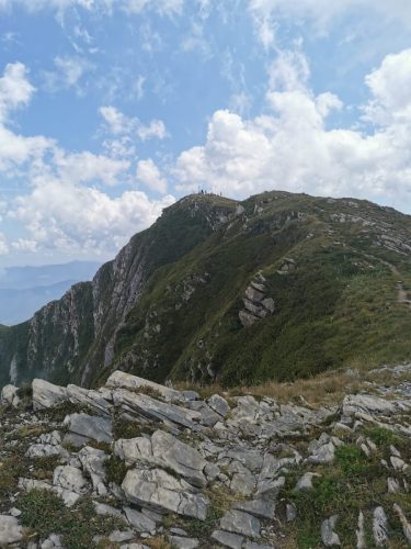 IMG-20240812-WA0147