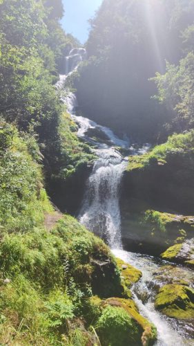 IMG-20240813-WA0079
