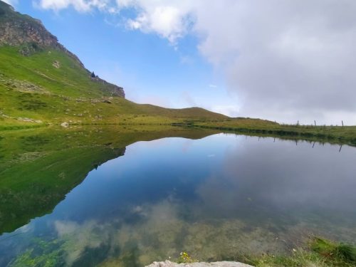 IMG-20240815-WA0037