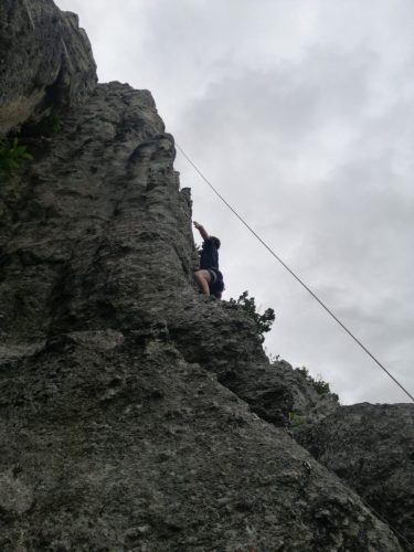 IMG-20240817-WA0071
