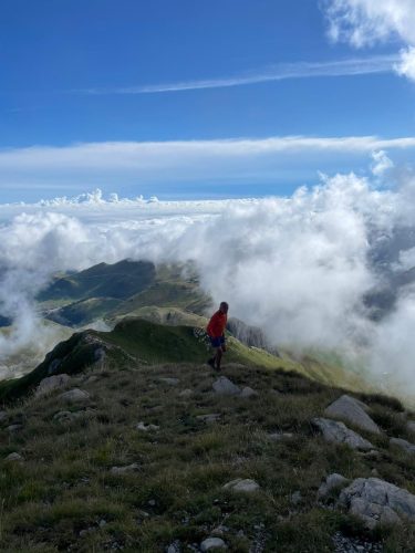 IMG-20240818-WA0024