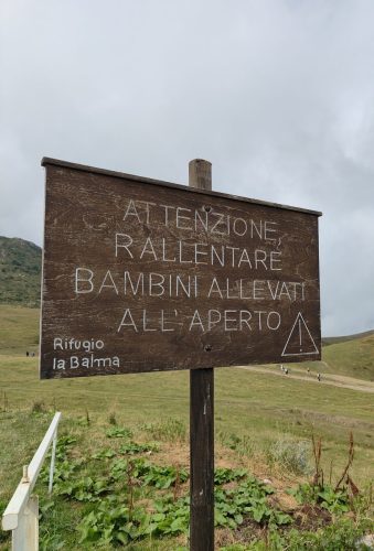 IMG 20240818 124316