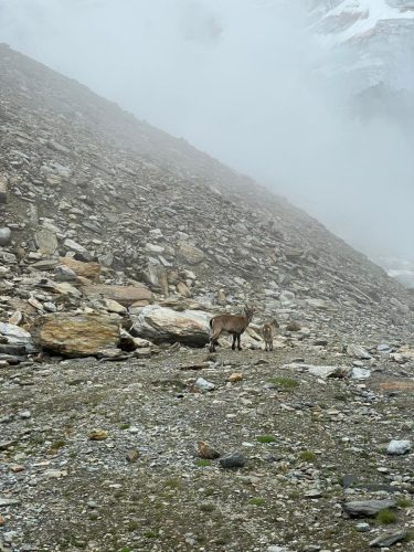 IMG-20250721-WA0068