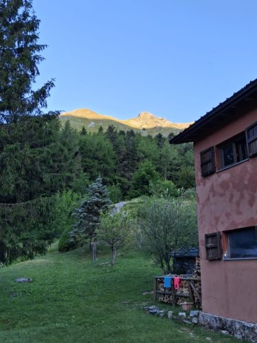 IMG-20250629-WA0081