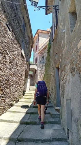 IMG-20250629-WA0173