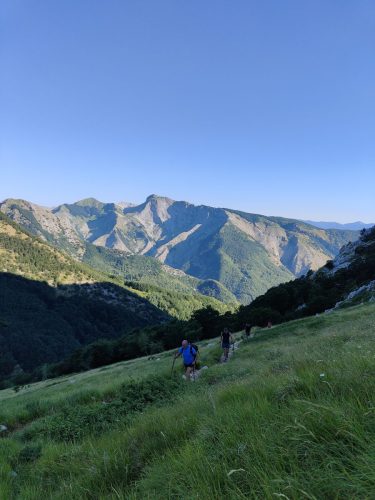 IMG20250629080639