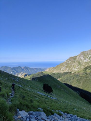 IMG20250629082327