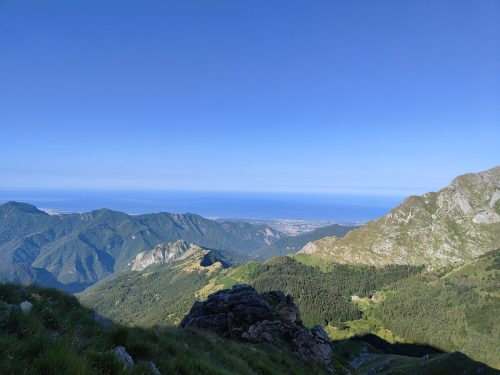 IMG20250629083246