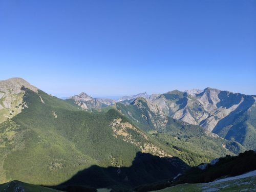IMG20250629083248