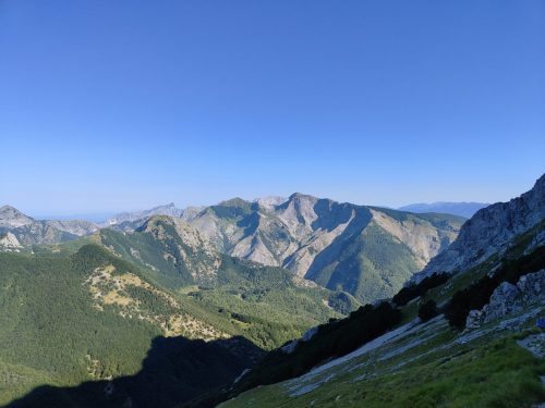 IMG20250629083250