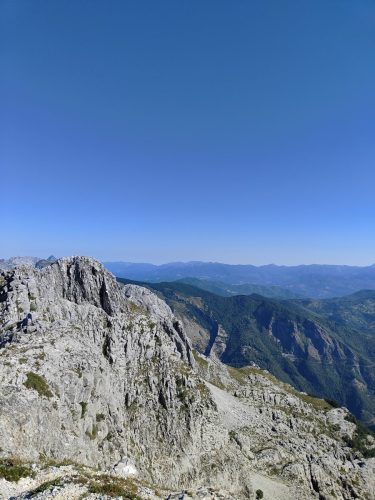 IMG20250629091009