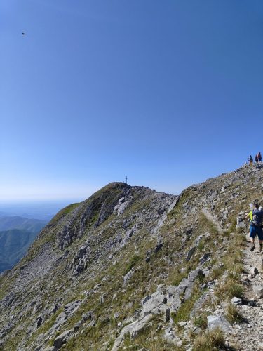 IMG20250629092422