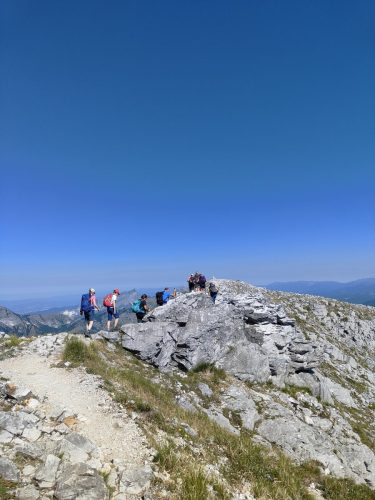 IMG20250629100615