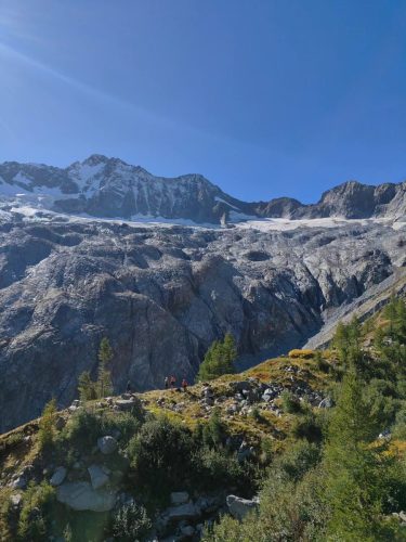 550379522 1363127975815042 2108855877490522625 n