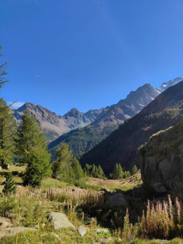 553106001 1363127969148376 5494101351962447964 n