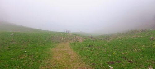 IMG-20250427-WA0101