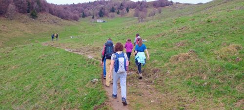 IMG-20250427-WA0134