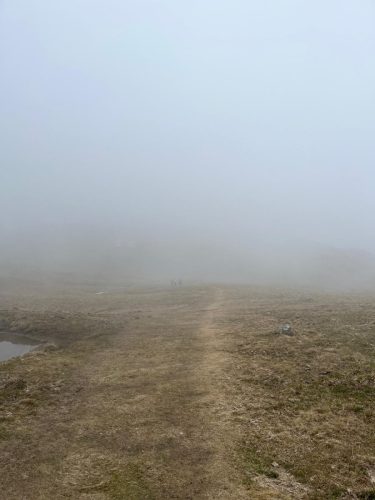 IMG-20250427-WA0146