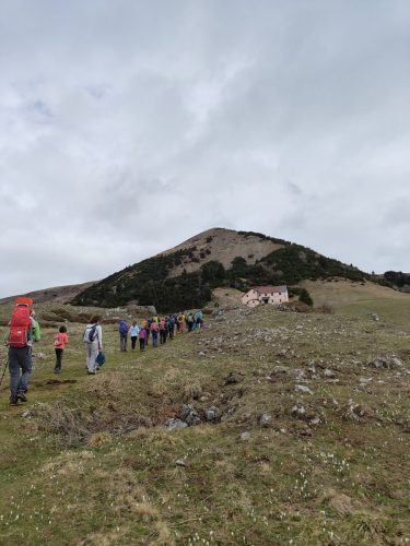 IMG20250427103014