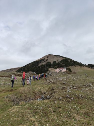 IMG20250427103019