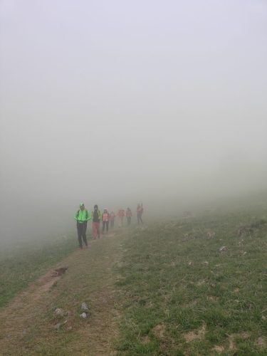 IMG20250427141340