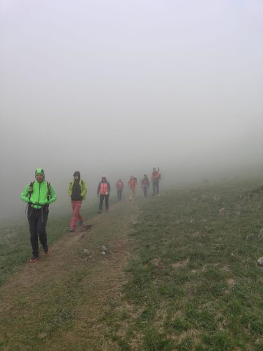IMG20250427141345