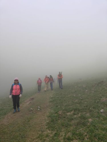 IMG20250427141349