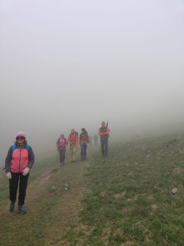 IMG20250427141350