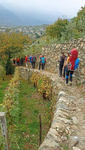 IMG 20251019 172245 590