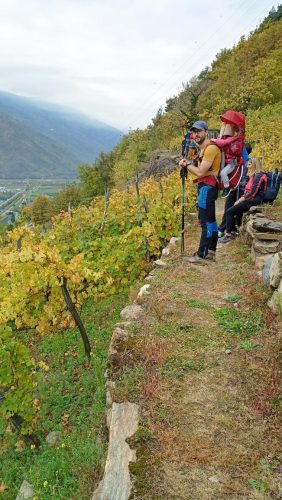 IMG 20251019 172249 780