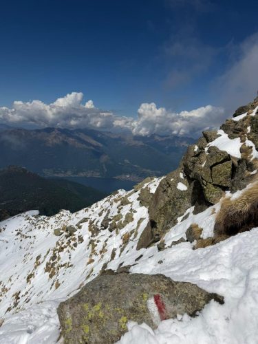 IMG-20260509-WA0095