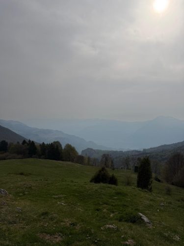 IMG-20260412-WA0008