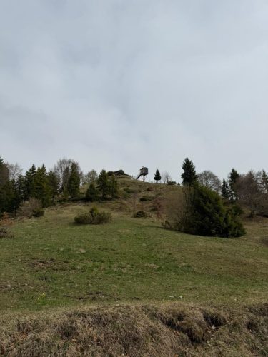 IMG-20260412-WA0012